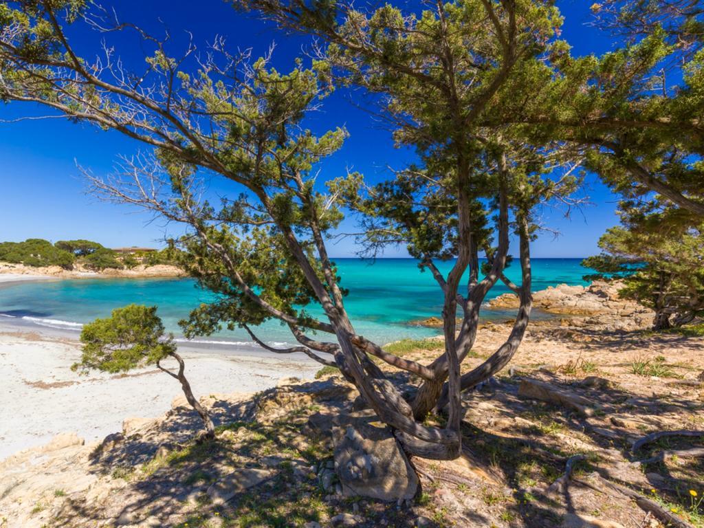 Orosei Home Holidays - Sa Vadde カーラ・リベロット エクステリア 写真